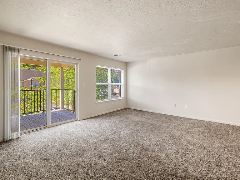 Springview Apartments — Photo 48