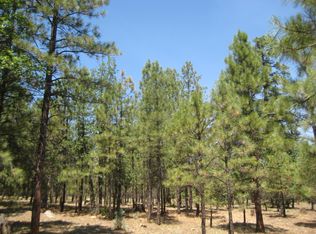 1349 Trails End, Happy Jack, AZ 86024