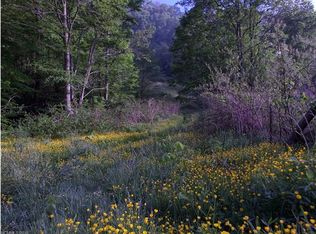 1433 W Cove Rd, Canton, NC 28716