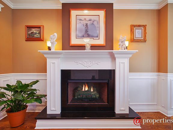 Gas fireplace with marble surround