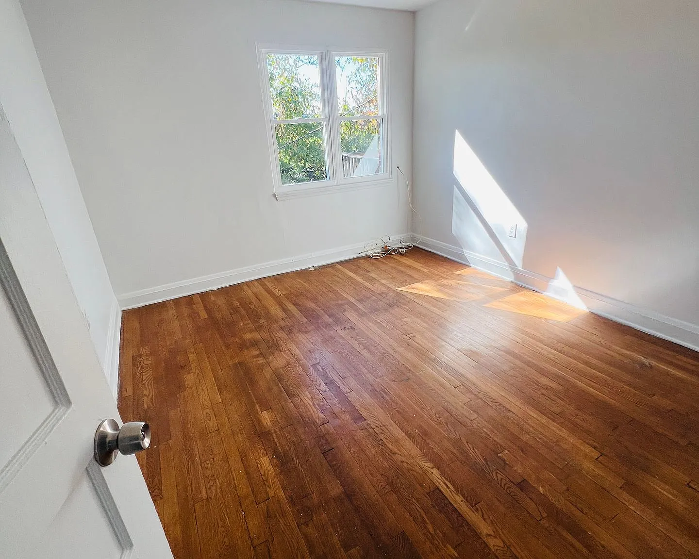 Newly renovated Arlington neighborhood apartment — Photo 4