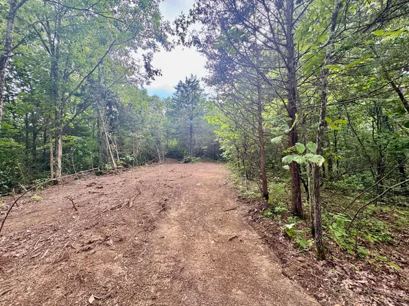 Lawrenceville Rd, Williamstown, KY 41097