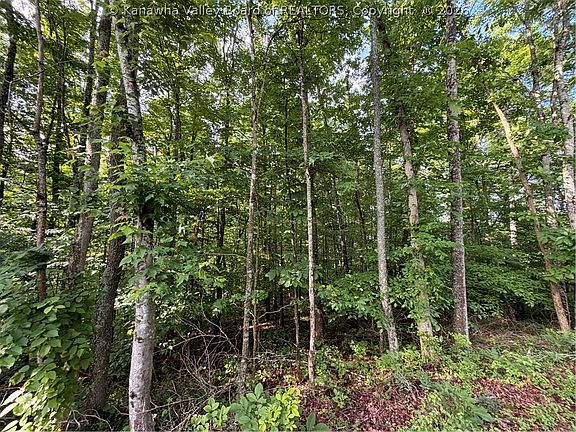 2nd image of 0 County Road 28