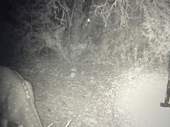 2nd image of TBD SD 45425