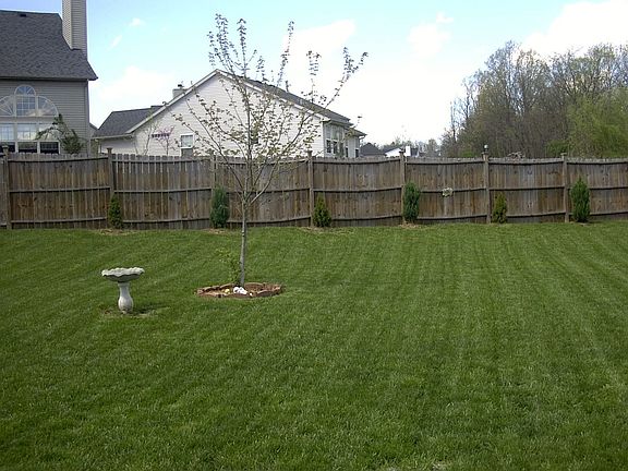 Big backyard with privacy fence