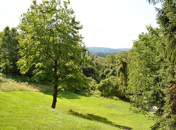 Back yard and View