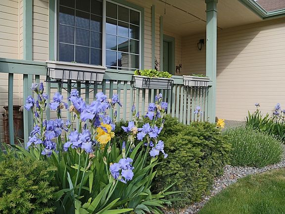 established landscaping