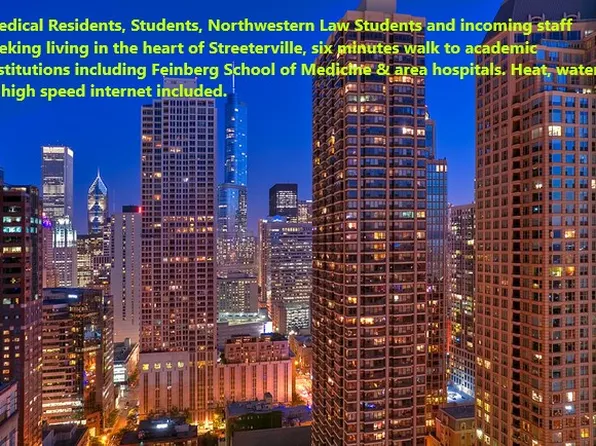 253 E Delaware Pl APT 6C, Chicago, IL 60611