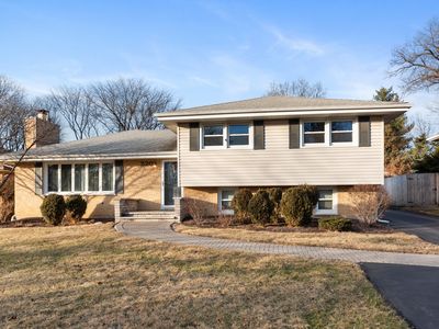 520 Bunning Dr, Downers Grove, IL, 60516