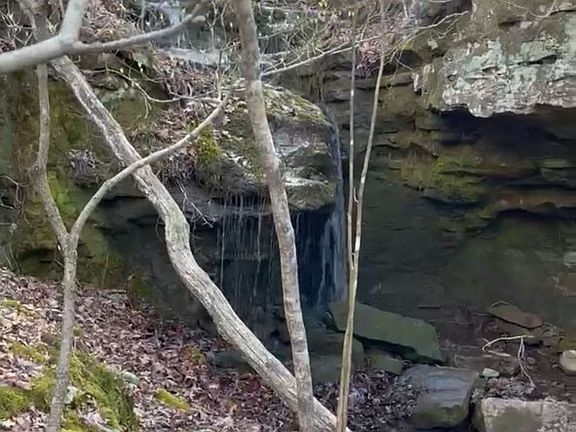 2nd image of 0 Plumlee Rd