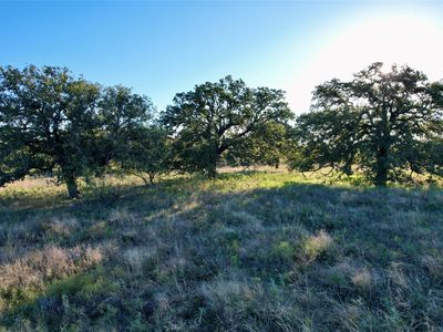 County Road 579, Cisco, TX, 76437