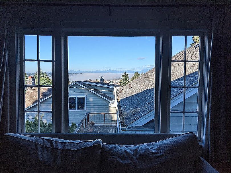 living room window view