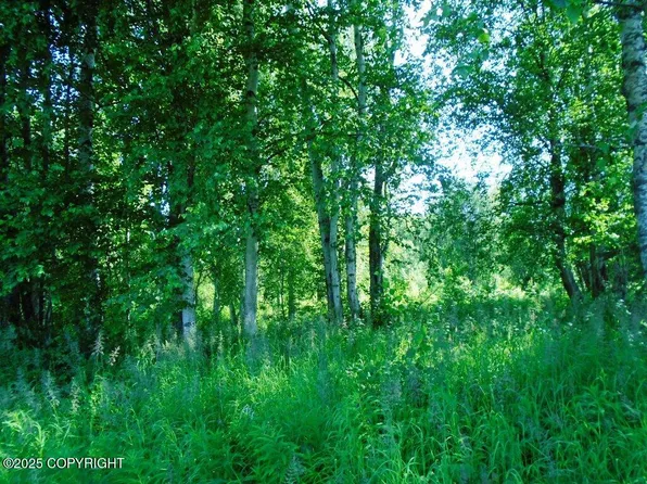 Township Road F Mile #93, Talkeetna, AK 99676