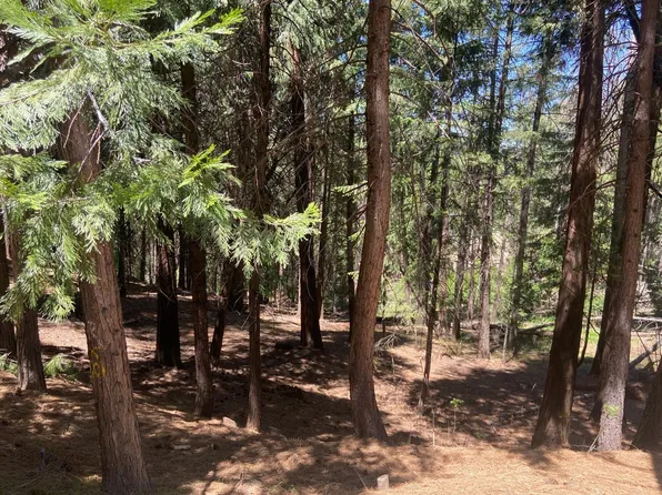 Quicksilver Rd, Pollock Pines, CA 95726