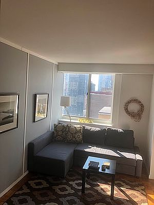 3rd image of 325 W 43rd St #29D