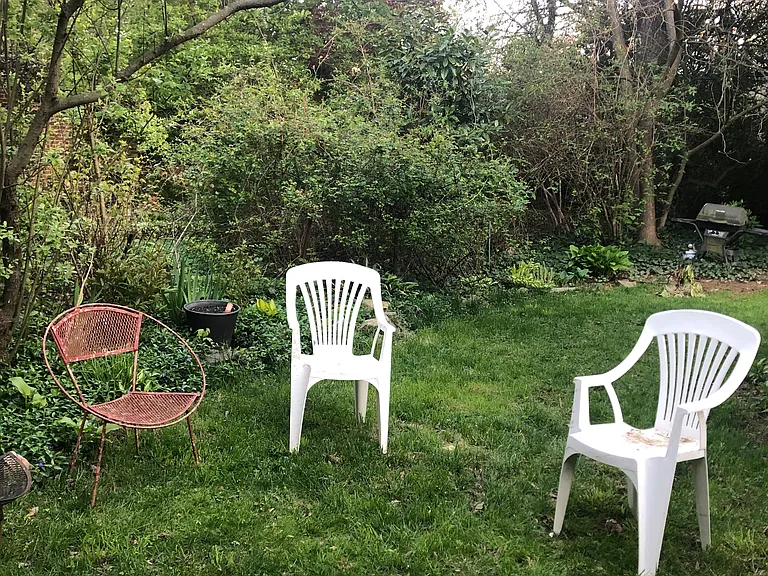 Back yard.