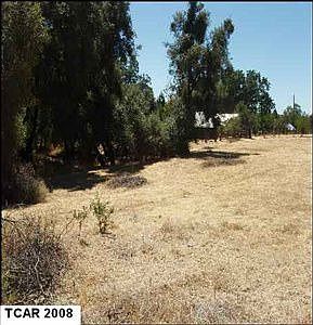 2nd image of 14800 Peaceful Valley Rd