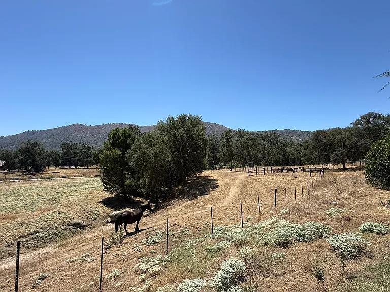 34764 Wiemiller Rd — Photo 11