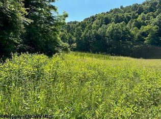 326 Joes Run Rd, Mannington, WV 26582