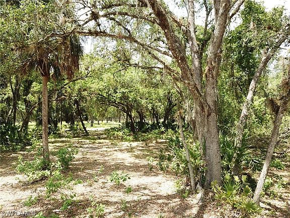 2nd image of 5920 Hidden Hammock Dr