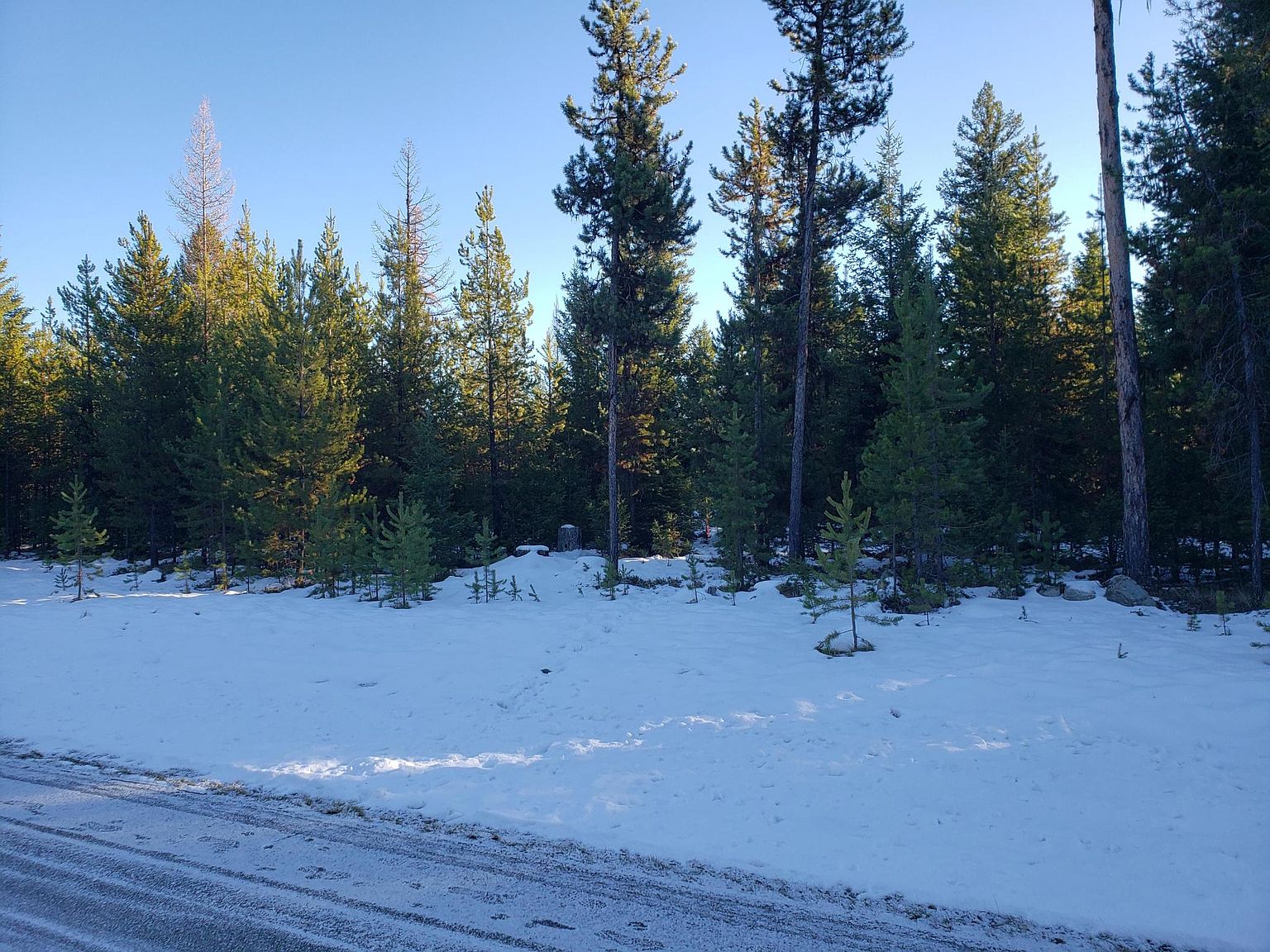 1276 Marion Hubbart Spur, Marion, MT 59925 Zillow