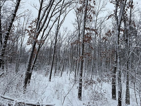 3rd image of Steinberg Rd