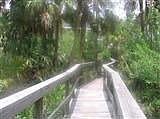 Tropical nature trail