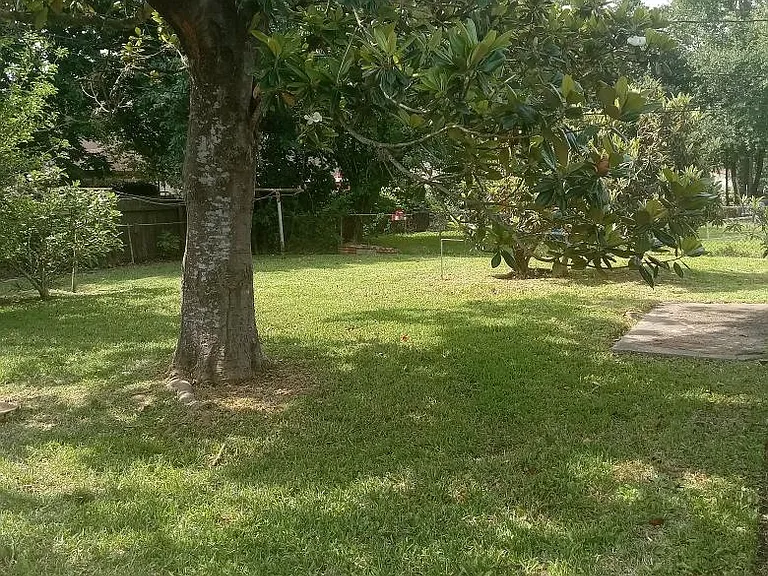 Backyard 1