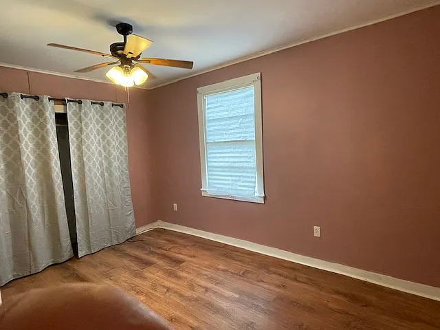 317 Center St — Photo 5