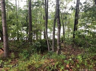 18 S Cove Rd, Mill Spring, NC 28756