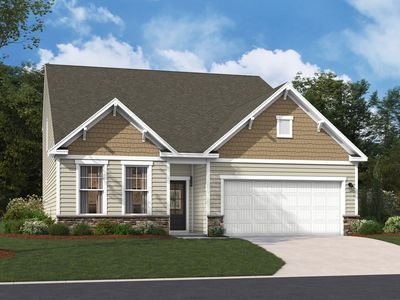 315 Chapin Place Way, Chapin, SC, 29036