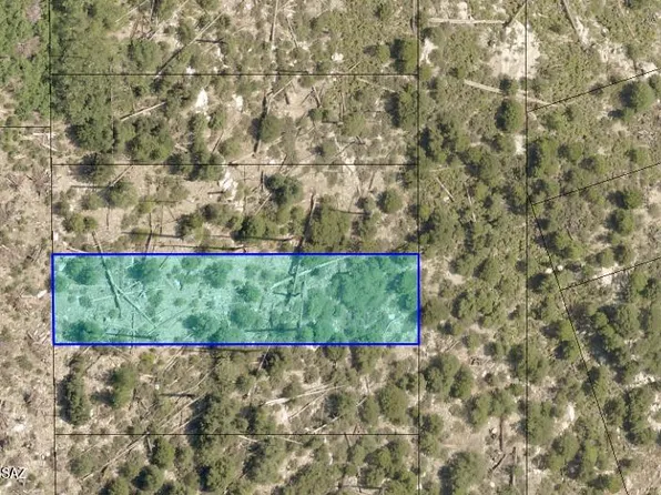 12849 N Winkleman Ave #1, Mount Lemmon, AZ 85619