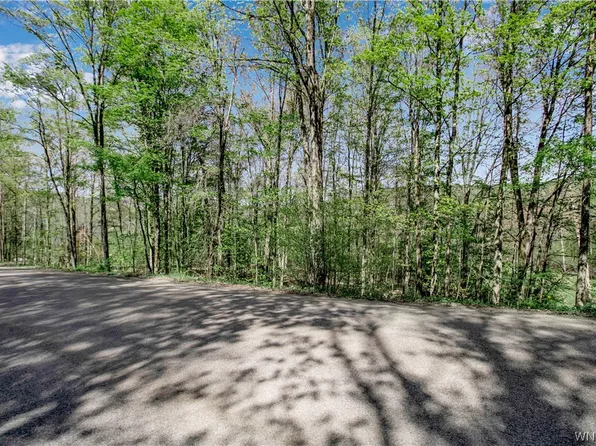 0 Howe Hill Rd #2, Great Valley, NY 14741