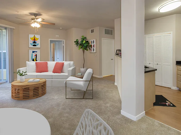 Open Concept Kitchen and Living Space