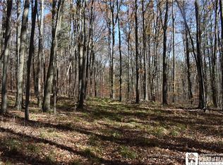 0 Coss Corners Rd, Bath, NY 14810