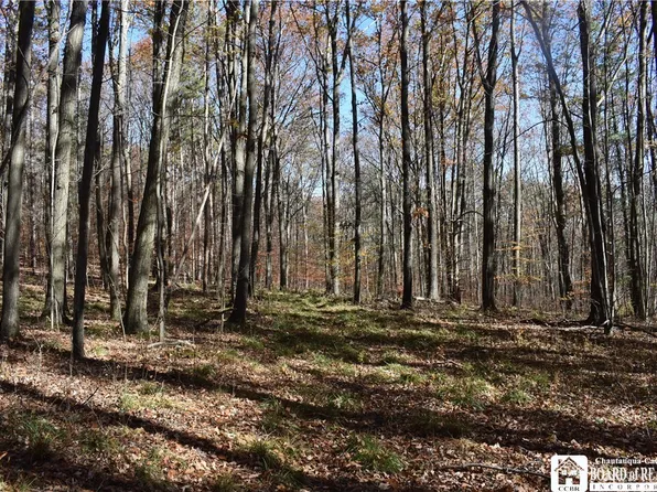 0 Coss Corners Rd, Bath, NY 14810