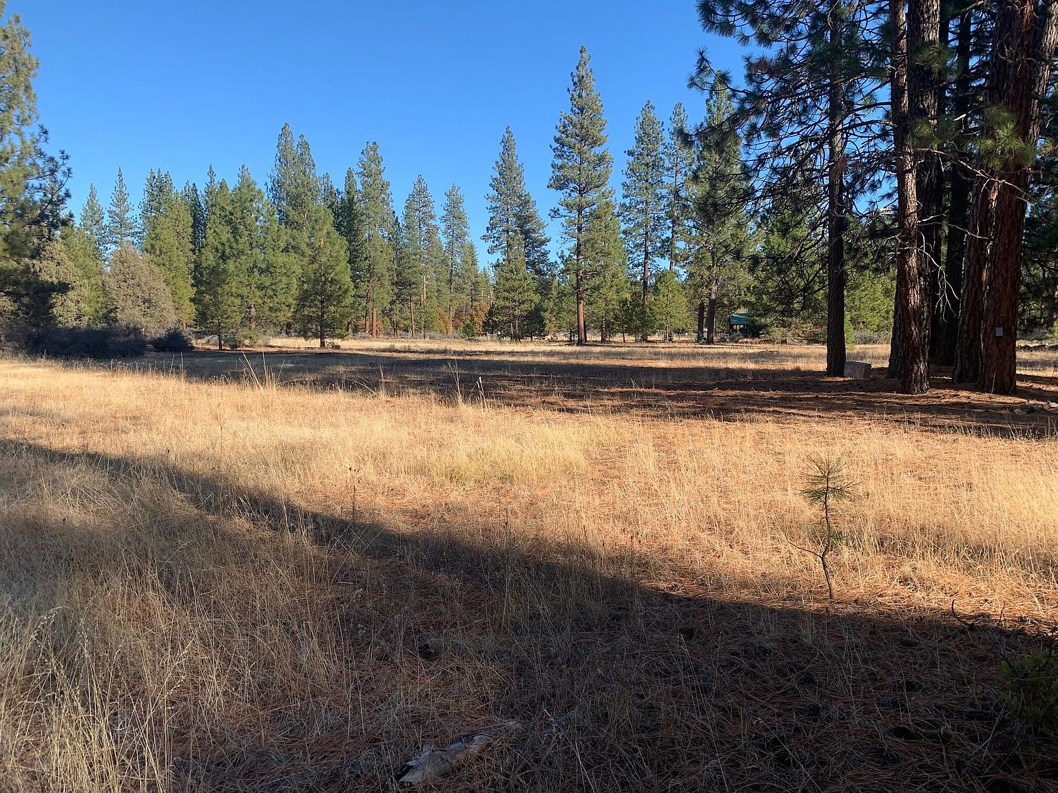 Hawkins Mill Rd, Fall River Mills, CA 96028 Zillow