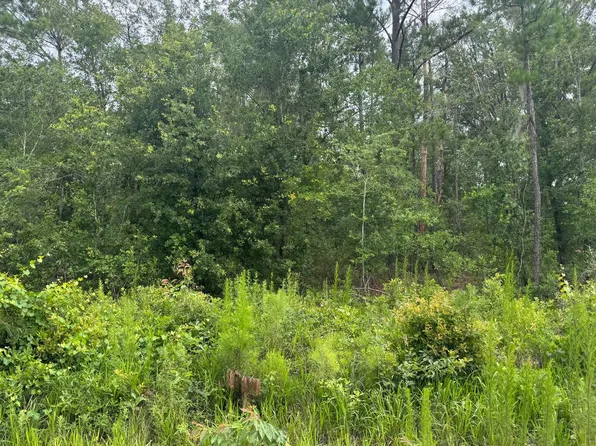 NW Cripple Creek St, Lake City, FL 32055