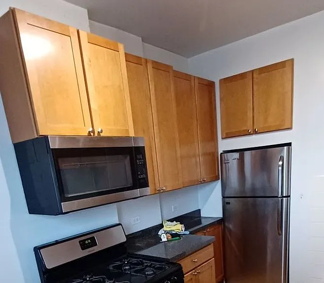 1332 34 W Granville 6206 #10 — Photo 2