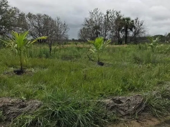 16120 NW 300th Street, Okeechobee, FL 34972