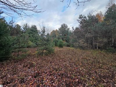 0 Monument Rd, Tawas City, MI, 48763