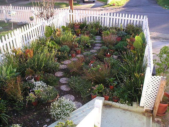 Front yard has garden areas.