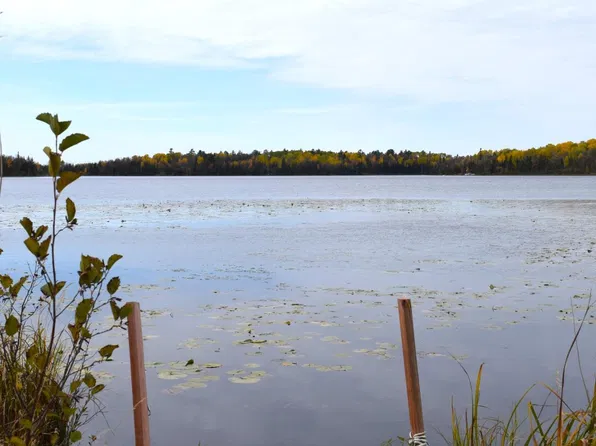 67351 Tranquility Trl, Effie, MN 56639