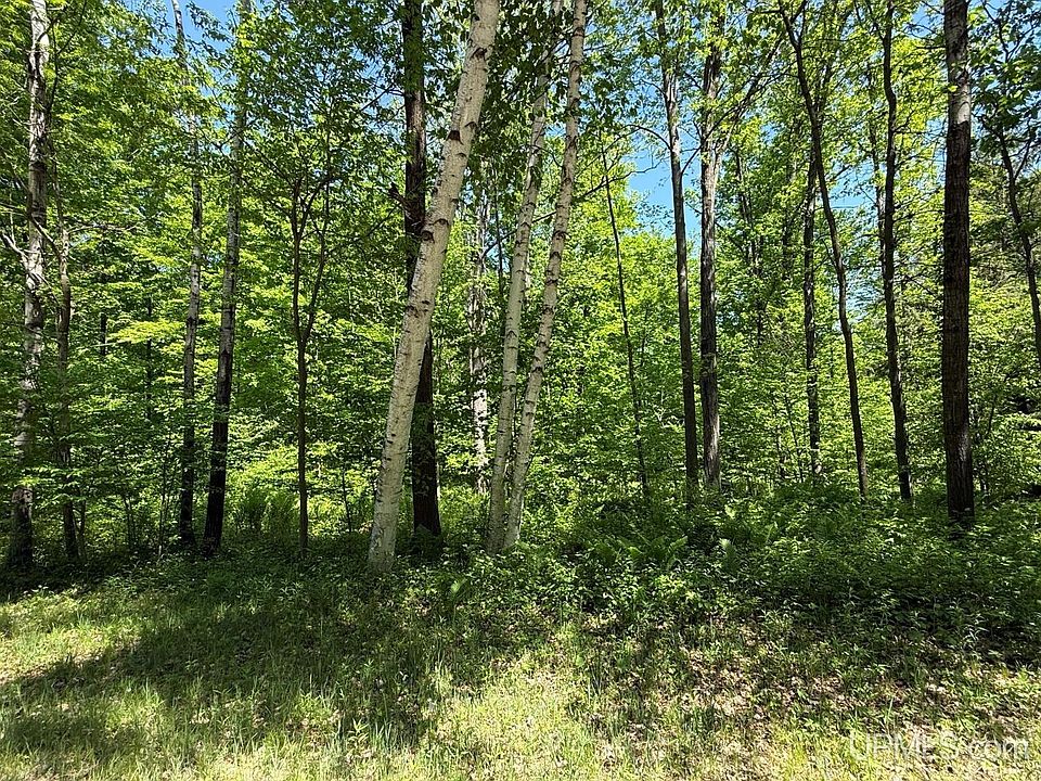 1st image of LOT 1 Wilderness Trl