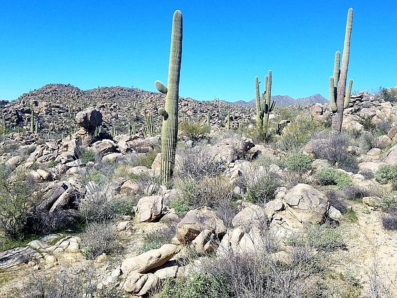 4th image of 1778 W Tortolita Mountain Cir #585