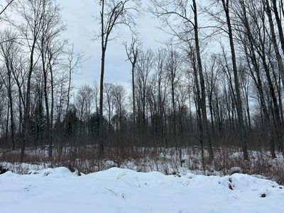 16 Cth G, Pelican Lake, WI, 54463