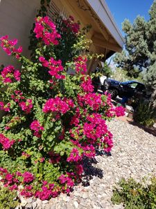 2530 S Calle Cordova, Tucson, AZ, 85710