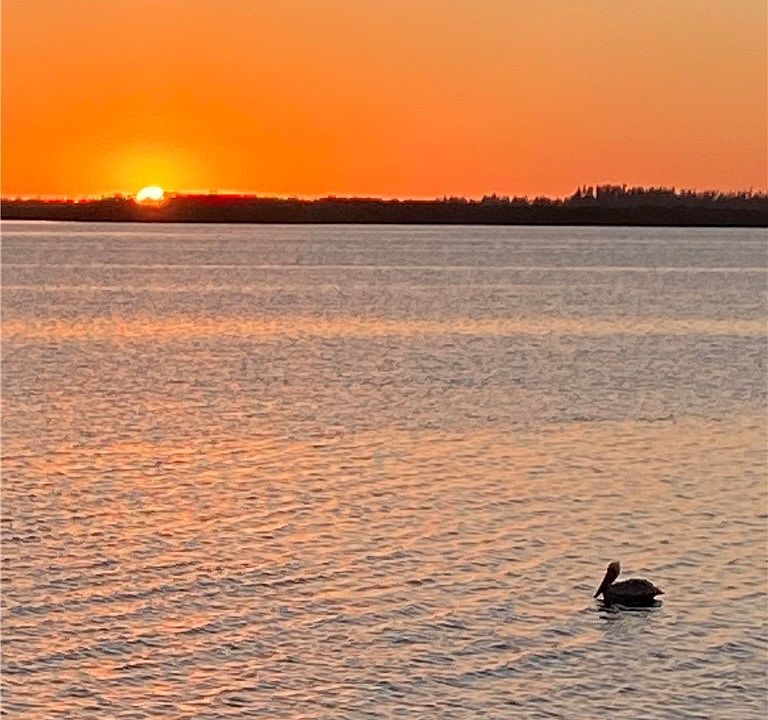 1st image of 4712 Pine Island Rd NW