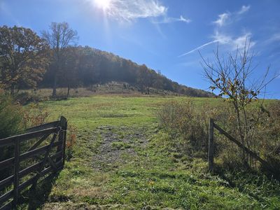 2391 Hogskin Rd, Washburn, TN, 37888