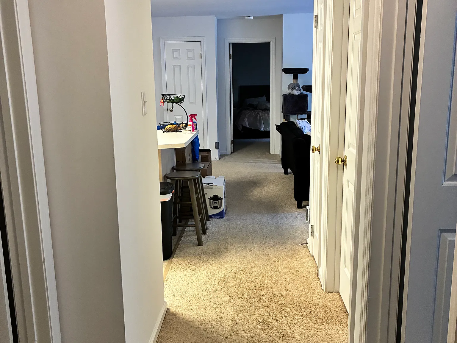 2 bed, 1070 sqft, $1,480 — Photo 3